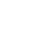 Paper Documents Icon